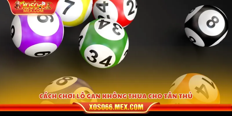 Cách chơi lô gan - Chiến lược nuôi số lâu dài 4 Cách chơi lô gan không thua cho tân thủ