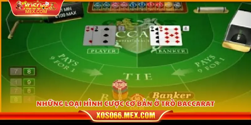 Luật chơi baccarat – Hướng dẫn chi tiết từ A đến Z cho tân thủ 3 Những loại hình cược cơ bản ở trò baccarat