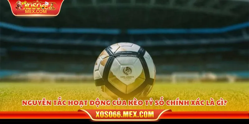 Mẹo bắt tỷ số chính xác – Bí kíp dự đoán chuẩn cho mọi trận đấu 2 Nguyên tắc hoạt động của kèo tỷ số chính xác là gì?
