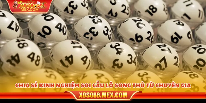 Soi cầu lô song thủ – Mẹo chọn số hiệu quả và dễ trúng 4 Chia sẻ kinh nghiệm soi cầu lô song thủ từ chuyên gia
